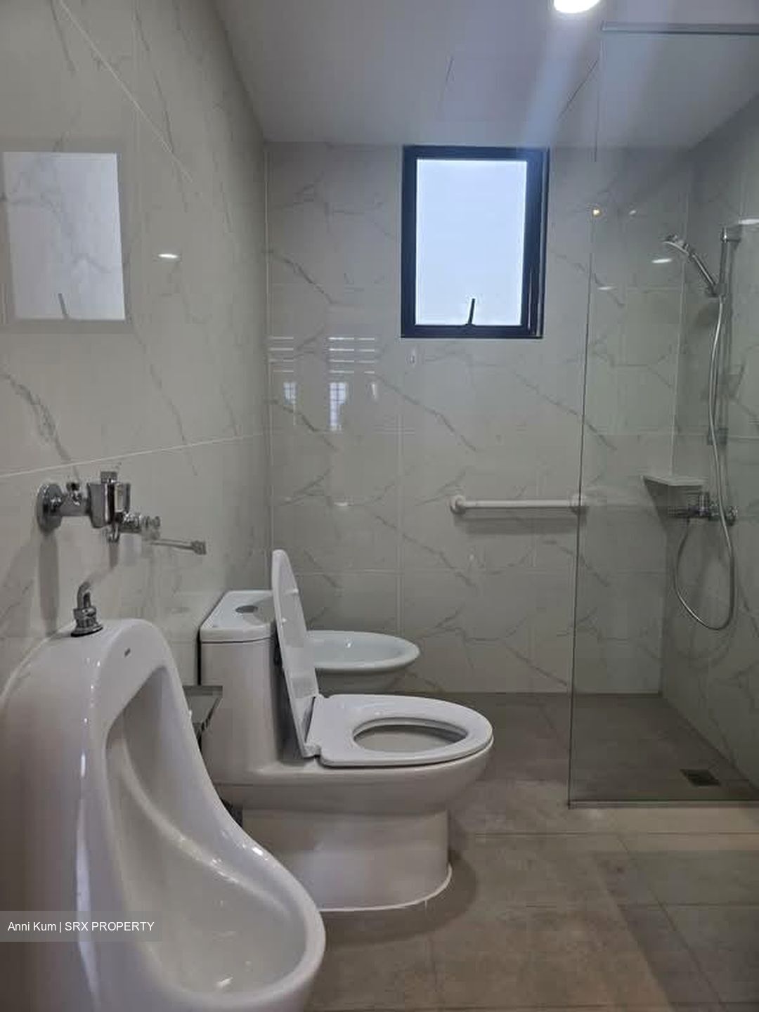 Spring Grove (D10), Condominium #528004791
